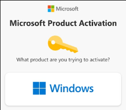 image6.png